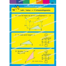 Lichaamsdiagonaal - poster